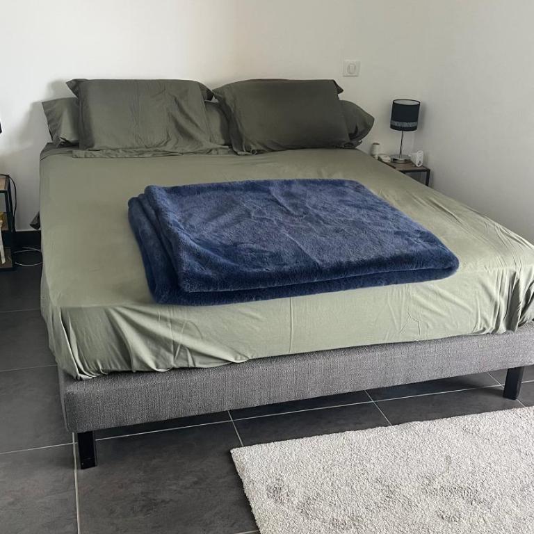 F2 Grand standing - Appartement 1 Chambre - 5
