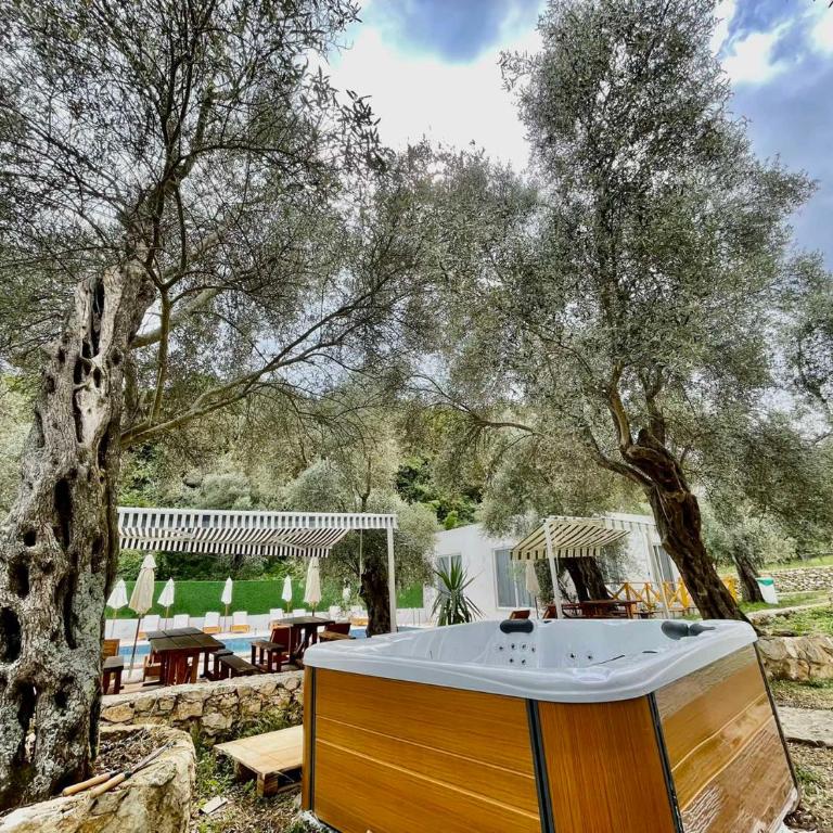 Eman Resort - King Suite with Pool View - 10