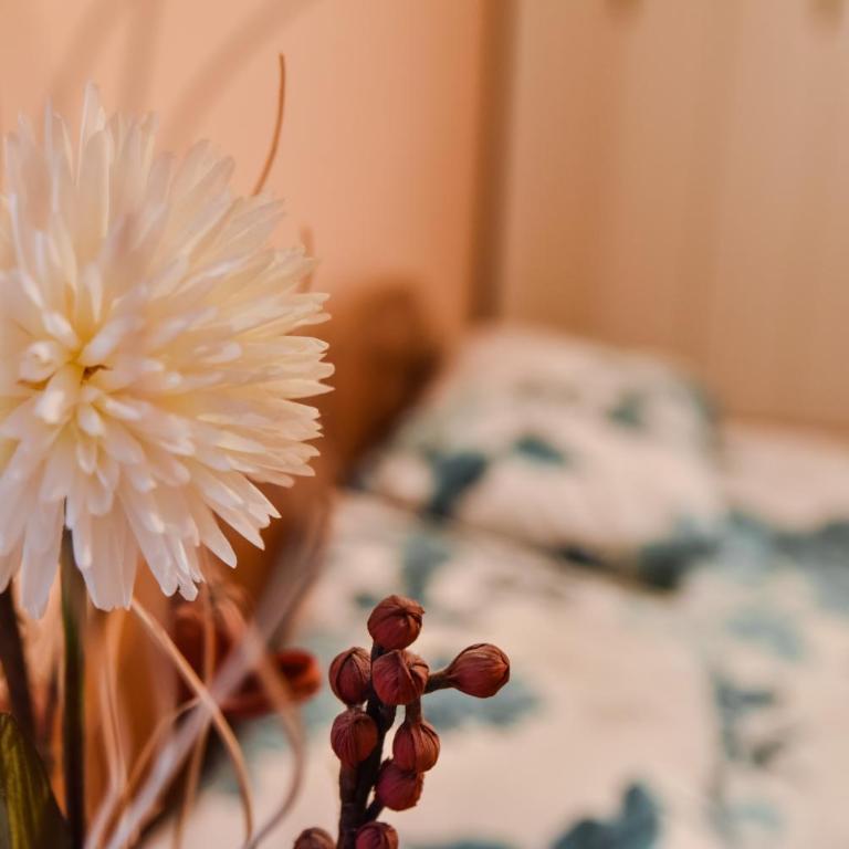 Apartment Monika - Apartman sa 2 Spavaće Sobe - 26