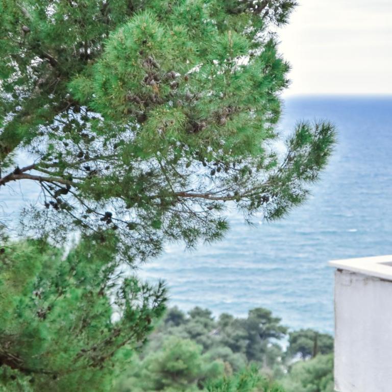 Apartment Monika - Apartman sa 2 Spavaće Sobe - 16