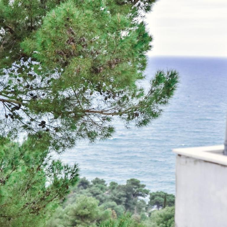 Apartment Monika - Apartman sa 2 Spavaće Sobe - 14