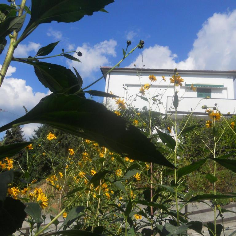 La Casina di sopra AAUT - Two-Bedroom Apartment - 29