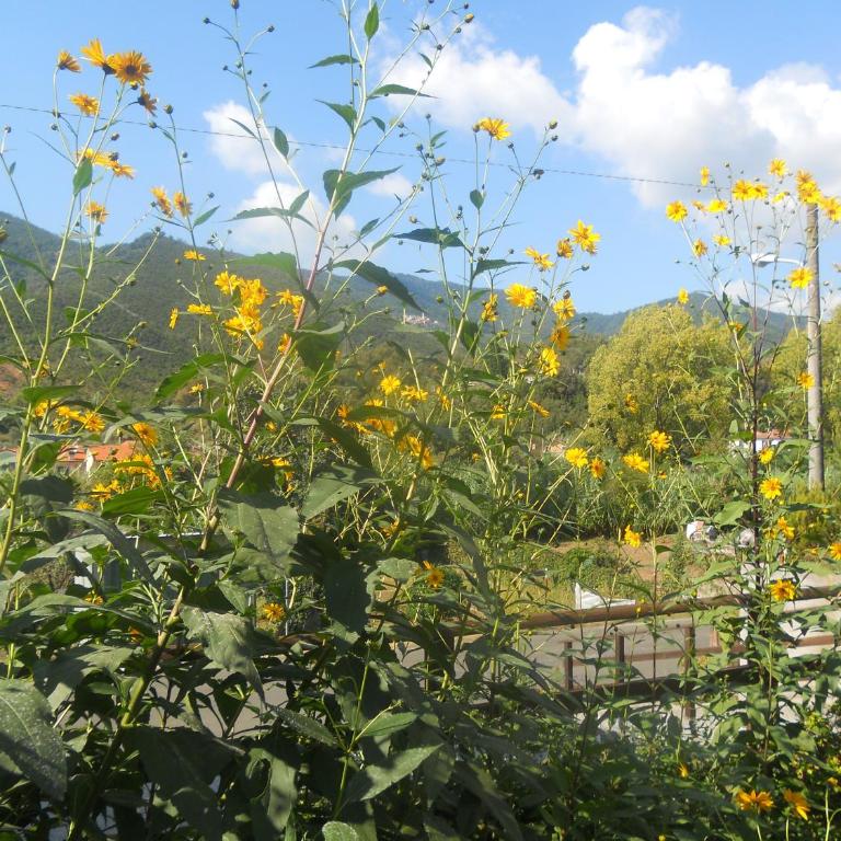 La Casina di sopra AAUT - Two-Bedroom Apartment - 35