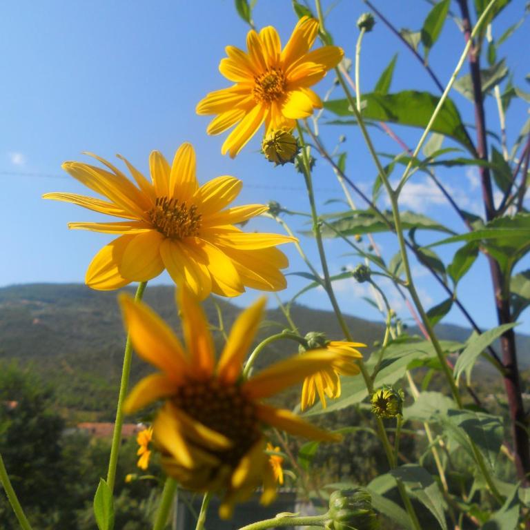 La Casina di sopra AAUT - Two-Bedroom Apartment - 36