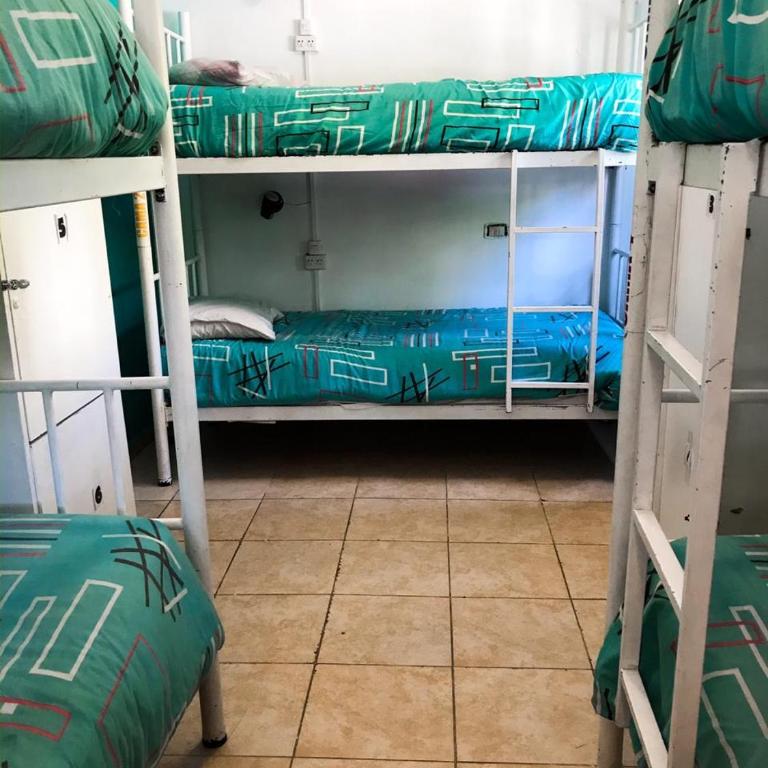 Hostel Punto Patagónico Neuquén - Cama en habitación compartida mixta de 6 camas - 2