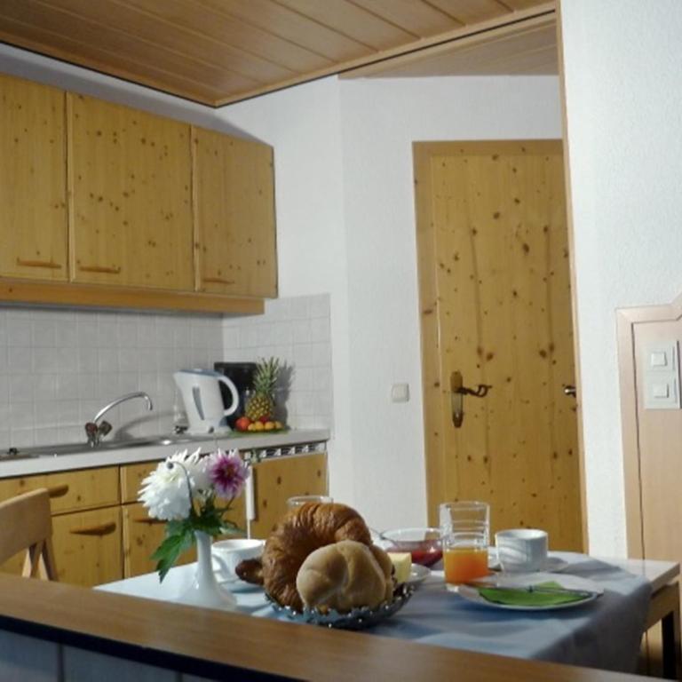Haus Voglreiter - inkl Sommerkarte, zentrale und ruhige Lage, Garten mit Spielplatz - Studio mit Balkon und Bergblick - 19