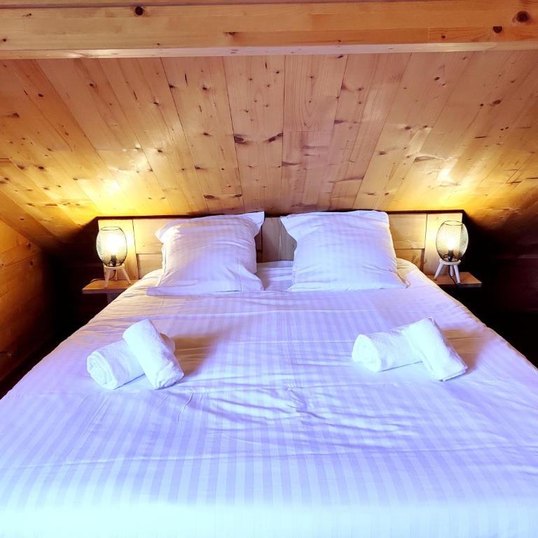 ⁂⁂ LE NID DE PIERRE & JULIE [CLEDICIHOME] 2 pas du centre ville / SPA & TERASSE AMENAGEE ⁂⁂ - Chalet - 20