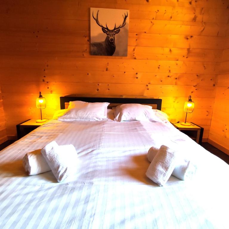 ⁂⁂ LE NID DE PIERRE & JULIE [CLEDICIHOME] 2 pas du centre ville / SPA & TERASSE AMENAGEE ⁂⁂ - Chalet - 25