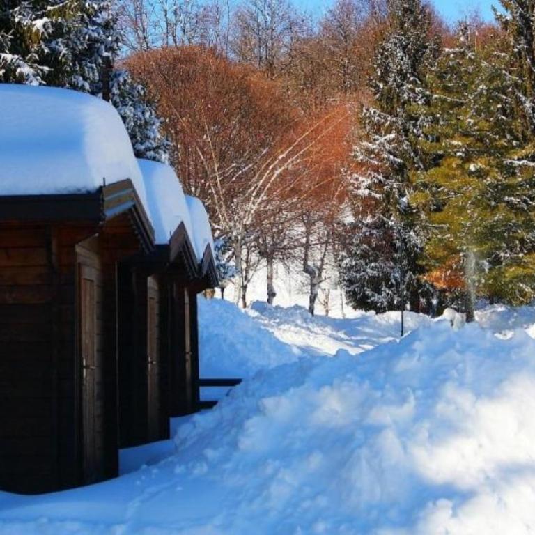 Camping Yoghi e Bubu - Bungalow avec Salle de Bains Commune - 10