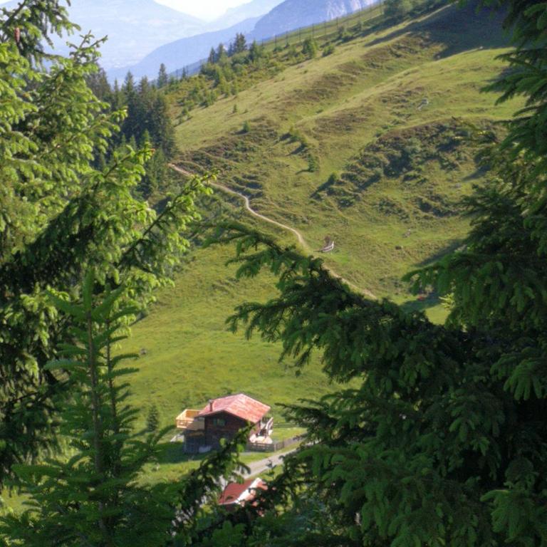 Almhütte Andrea - Two-Bedroom House - 44
