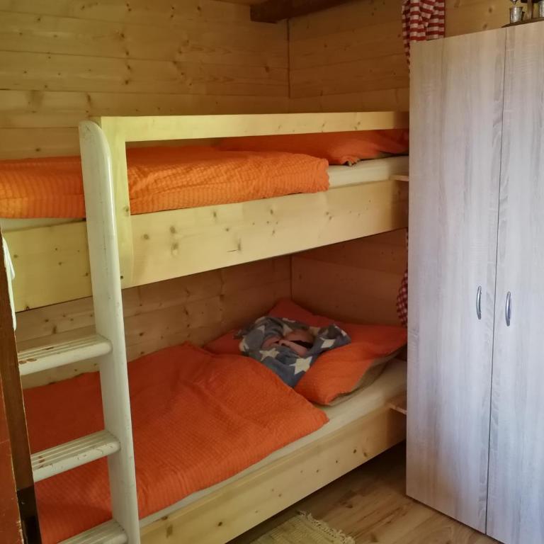 Almhütte Andrea - Two-Bedroom House - 49