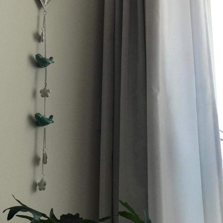 Departamento céntrico - Leer condiciones y precio - Apartamento de 2 dormitorios - 5
