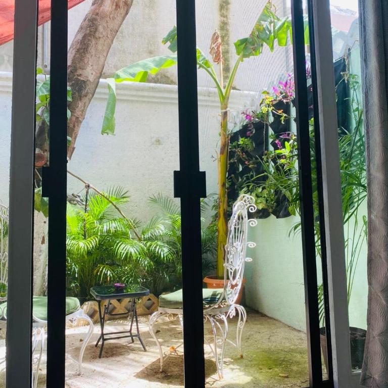 The Quetzal - Suite con terraza - 12