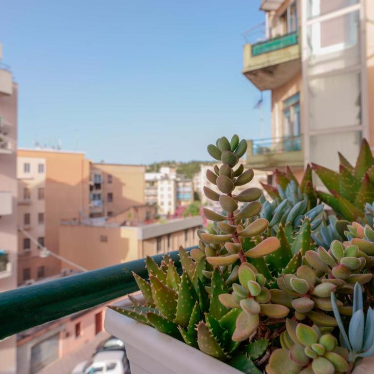 Insula b&b - Camera Matrimoniale con Balcone - 13
