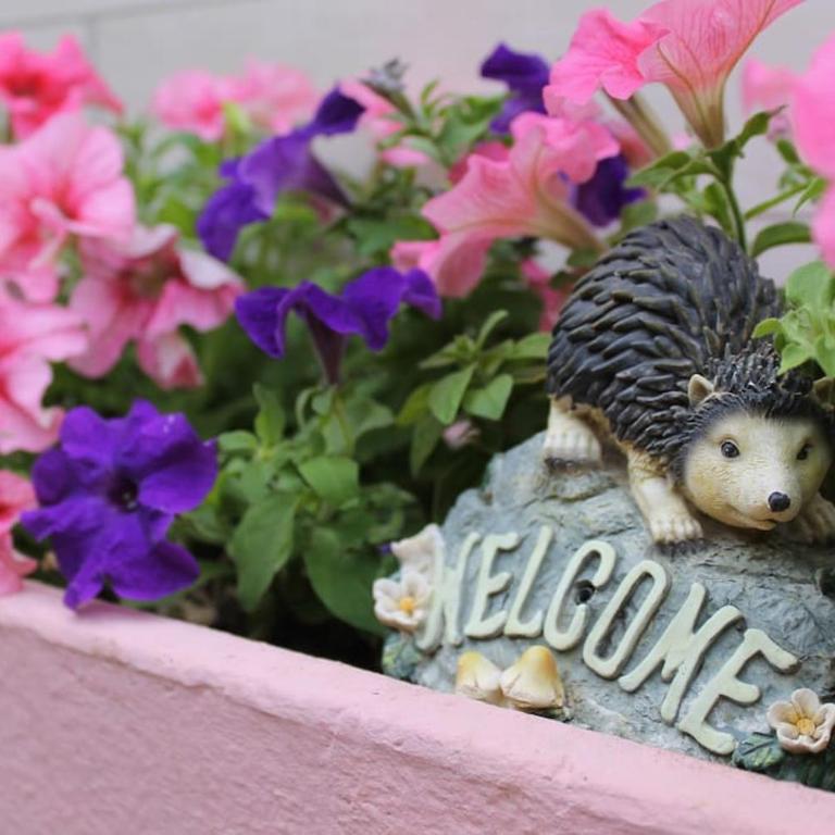 Casa Alice Wi-Fi Giardino Tranquillità Famiglie - Casa con 2 Camere da Letto - 51