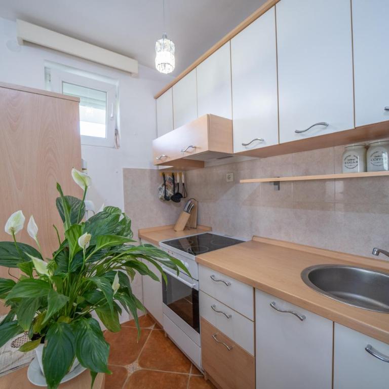 Sunshine - Two-Bedroom Apartment - 8