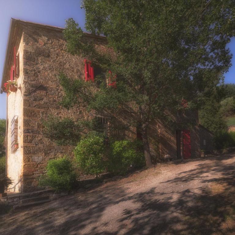 Casa nel bosco il Grottone - Casa Vacanze - 68