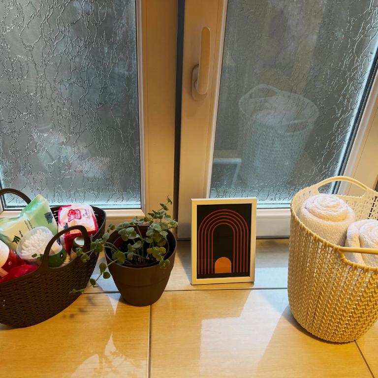 1890's Apartment - One-Bedroom Apartment - 23