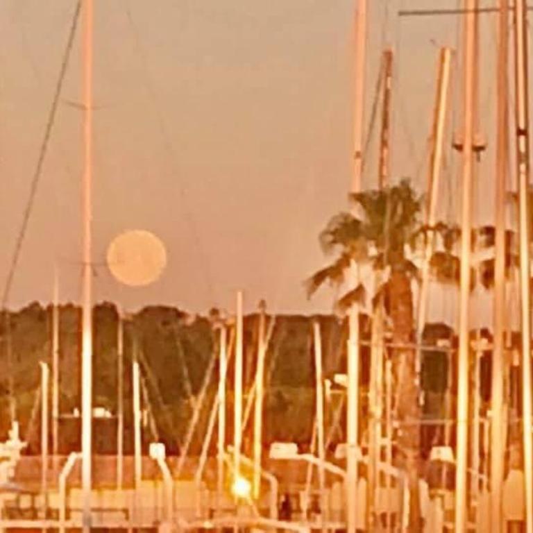 Logement atypique Golfe de Saint Tropez - Mobile Home - 29