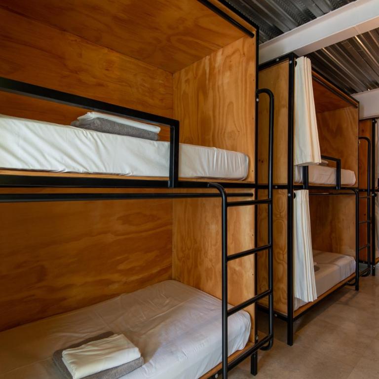 Mayan Monkey Los Cabos - Social Hotel - Cama en habitación compartida mixta de 6 camas - 2