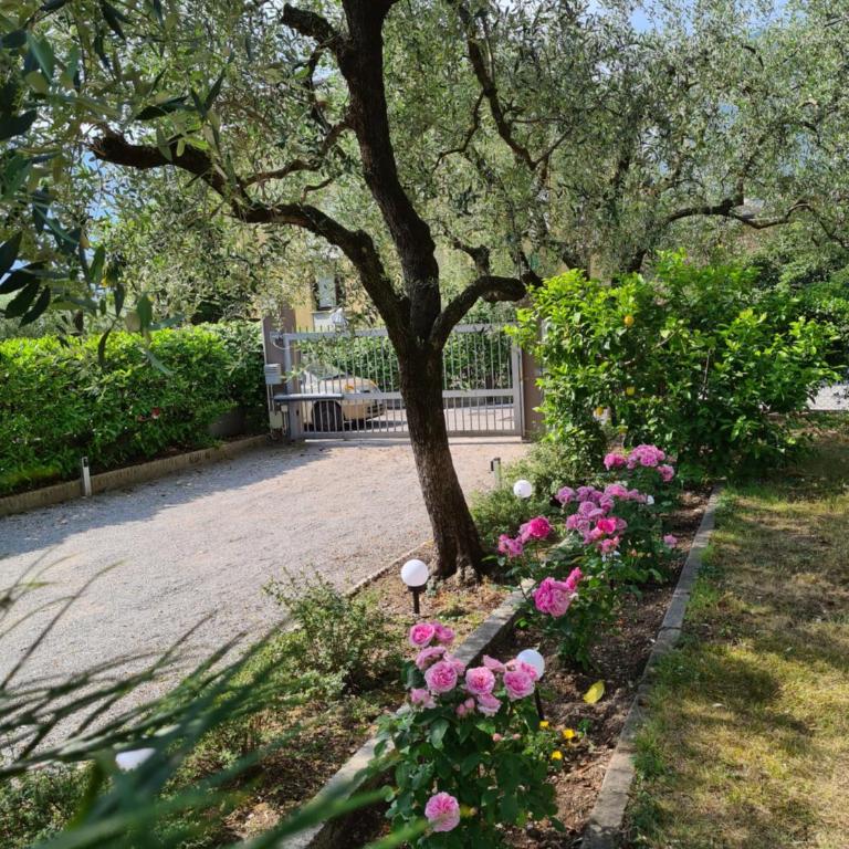 Le peonie - Appartamento con 2 Camere da Letto - 7