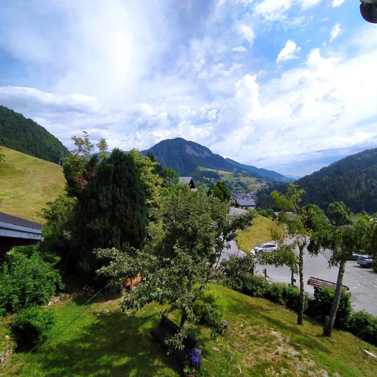 Chalet Appart'Hôtel l'Eau Vive - Apartment - 8