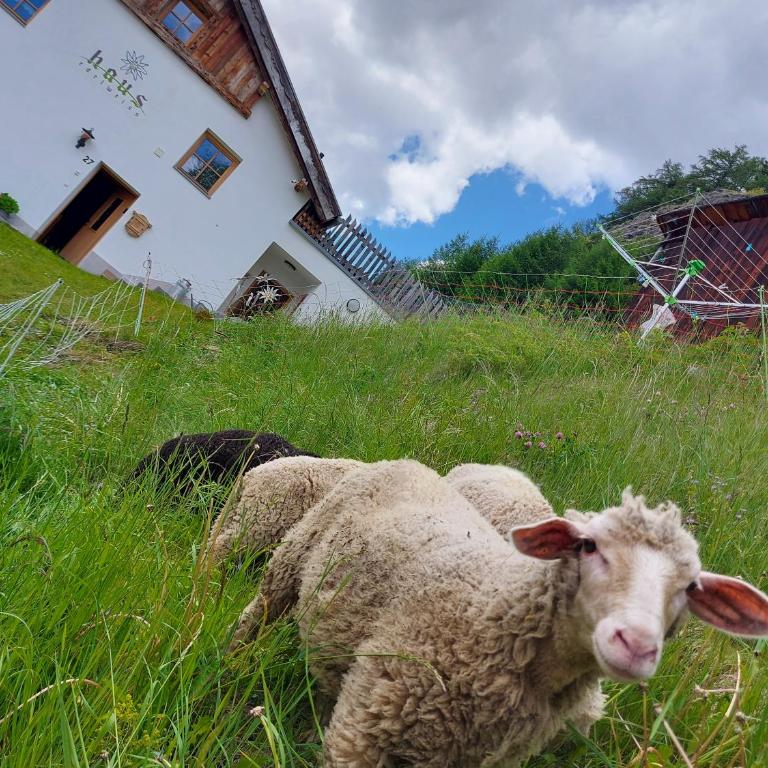 Haus Edelweiss Alpine Chalet near Samnaun - Ferienhaus - 30