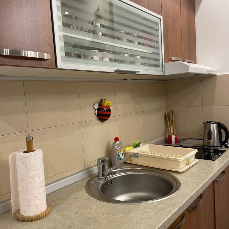 Vesna Apartman - Apartman sa 1 Spavaćom Sobom - 15