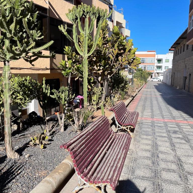 NICE NEW APARTMENT center of Corralejo 100m by beaches - Apartamento de 1 dormitorio - 27