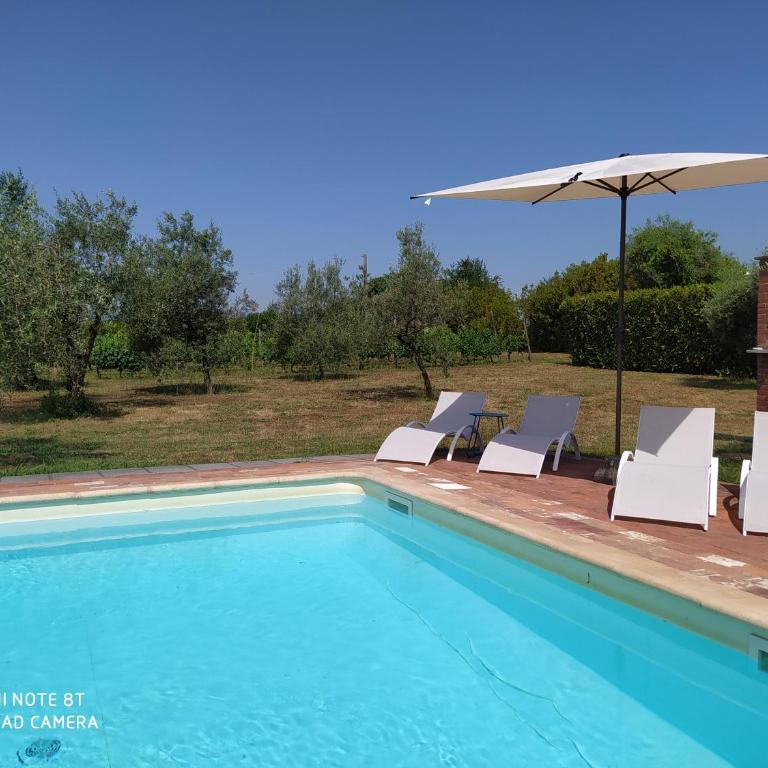 Ringo, the true Tuscany Country House - Casa con 3 Camere da Letto - 28