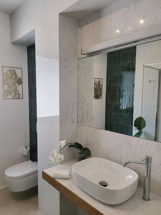 Twin Palms beach villa - Appartamento con Vista Giardino - 22