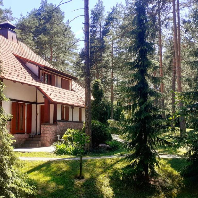 KRALJEVI KONACI - Vila Zelena Dolina - Zlatibor - Vila sa Pogledom na Vrt - 3