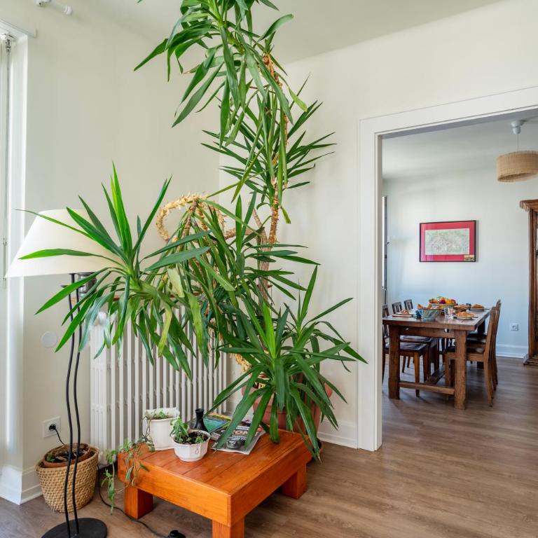Strasbourg centre - quartier Gare & Petite France "Au 52" - Appartamento con 1 Camera da Letto - 21