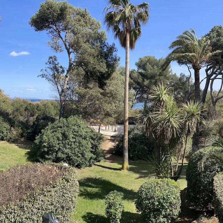 Appartement vue mer et pieds dans l'eau - Apartment mit 1 Schlafzimmer - 21