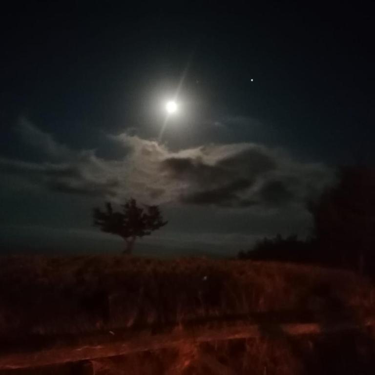 Luna e Mare - Casa con 2 Camere da Letto - 73