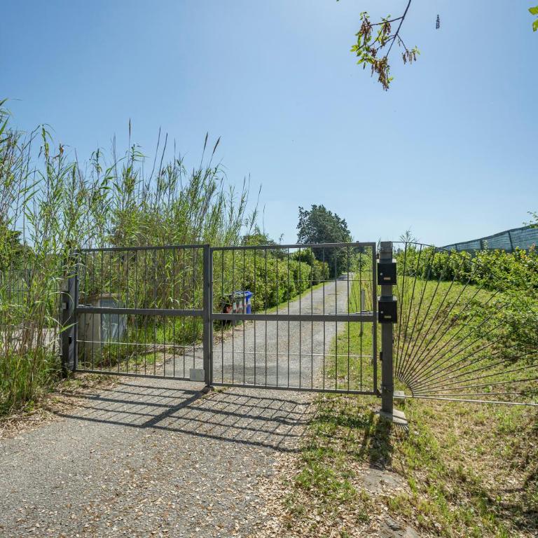 Podere Belvedere Livorno - Villa - 33