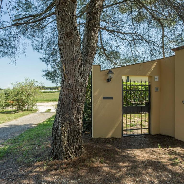Podere Belvedere Livorno - Villa - 32