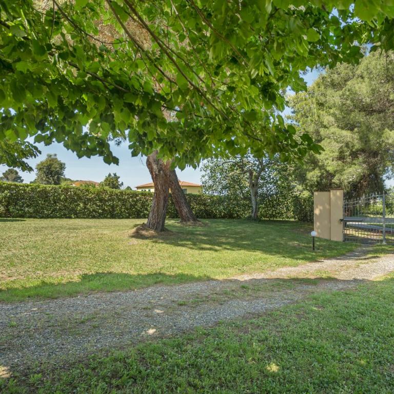 Podere Belvedere Livorno - Villa - 28