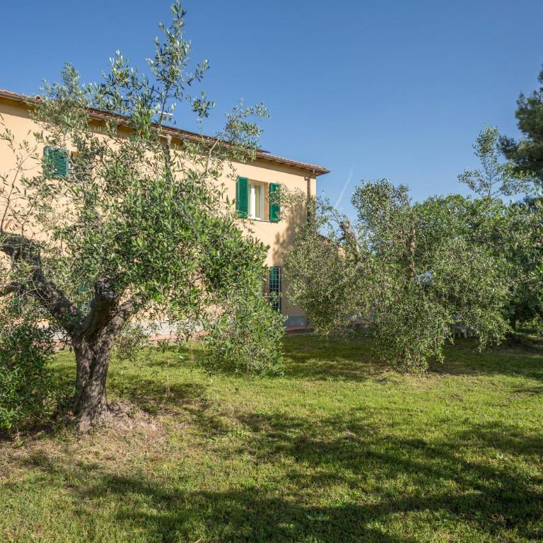 Podere Belvedere Livorno - Villa - 10