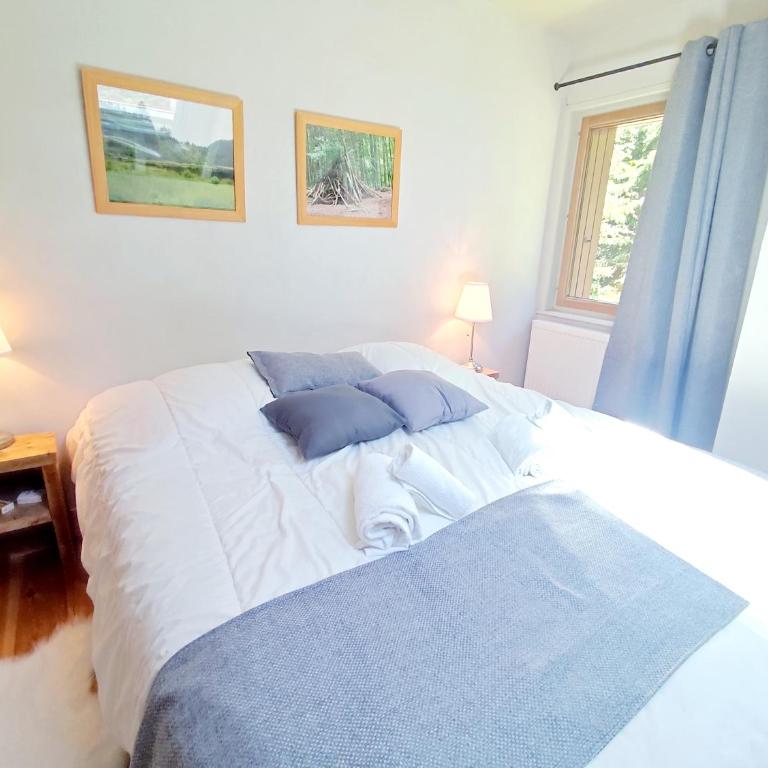 LES CIMES BLANCHES CLEDICIHOME Chalet 10 pers SPA & Grand terrain 4 MINUTES DES PISTES - Chalet - 20