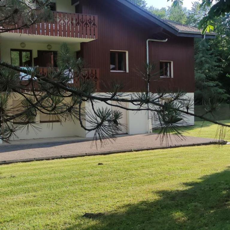 DOMAINE DU GRAND TETRAS SAMOENS - Appartamento con 1 Camera da Letto - 15