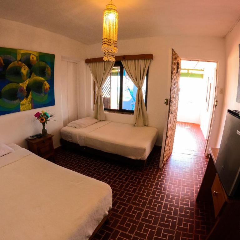 Hotel Punta Ballenas - Habitación Doble Deluxe con vistas al mar - 1 o 2 camas - 3