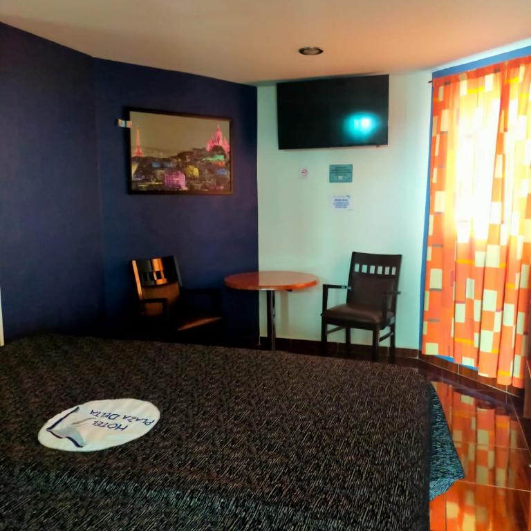 Hotel Plaza Delta - Habitación Individual Amplia - 3