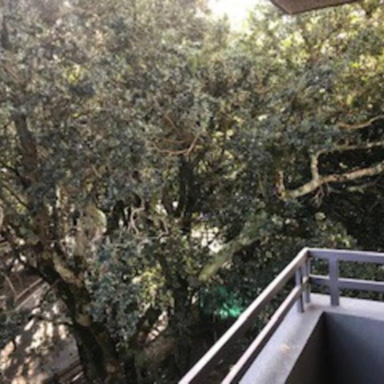 Excelente Departamento en Condominio Costa Pucon - Three-Bedroom Apartment - 37
