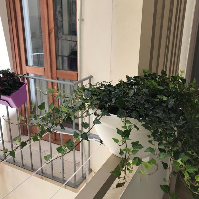 LA FARDELLA APPARTAMENTI - Appartamento con 1 Camera da Letto - 4