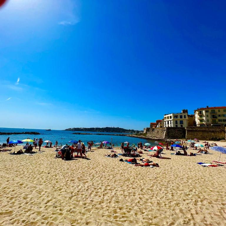 Superbe appartement en plein centre du vieil Antibes - Appartement 1 Chambre - 21