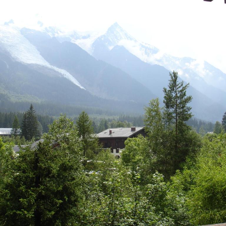 Apartment Arve - Chamonix Peaks Retreat - Appartamento (4 Adulti) - 3
