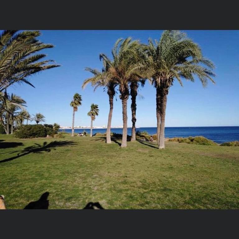 Apartament w Torrevieja, Mar Azul - Apartamento de 1 dormitorio - 17
