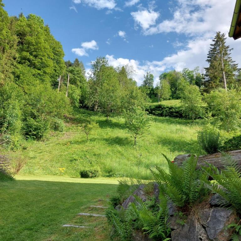 Chalet Peter - Chalet - 19