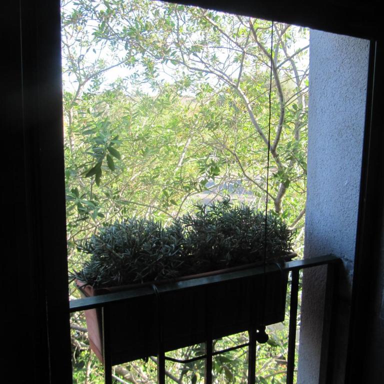 Terre del Cardinale Country Suites - Appartement avec Balcon - 14